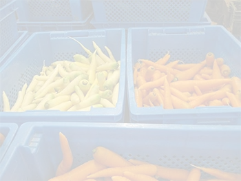Round Plastic Buckets
